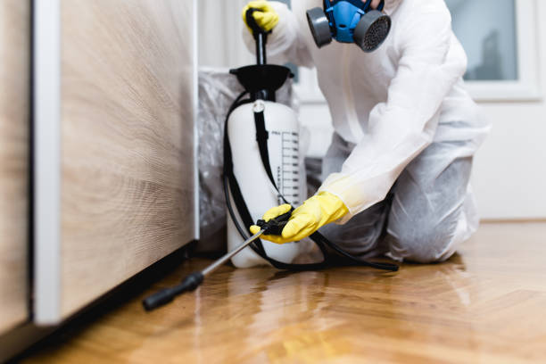 Best Insect Control  in Oakwood, IL