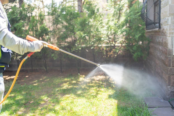 Best Best Pest Control Companies  in Oakwood, IL
