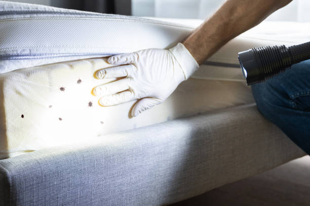 Best Pest Removal Services  in Oakwood, IL